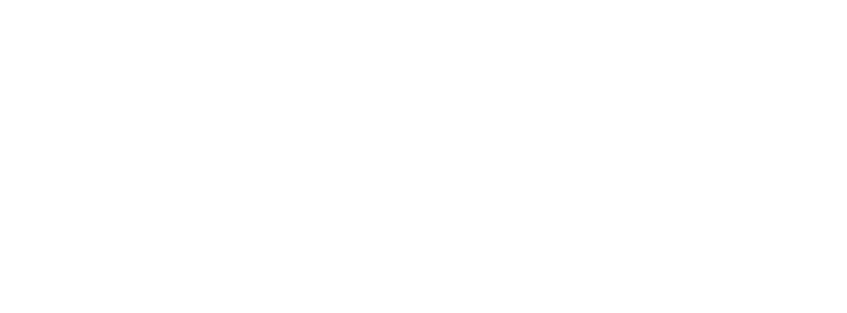 Habicht & Partner